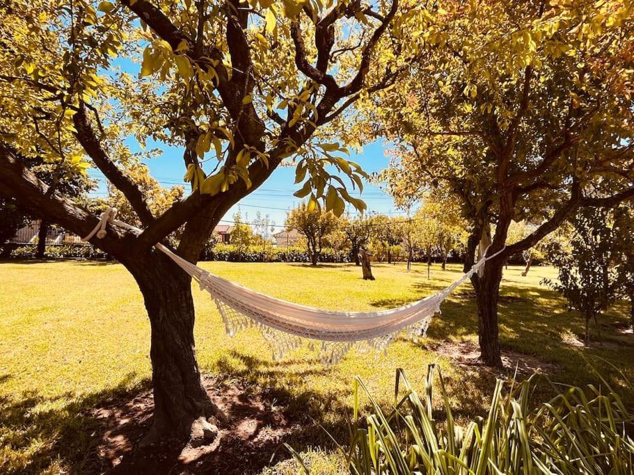 Villa Quinta Tilia - *
