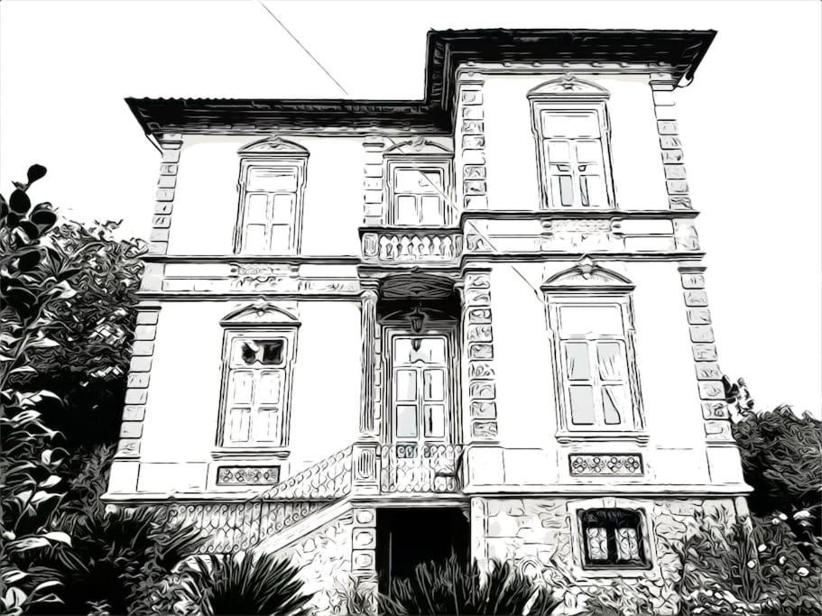 Quinta Tilia - * Oliveira de Azemeis